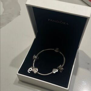 Pandora Silver Snake Chain Charm Bracelet